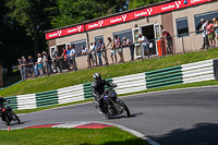 Vintage-motorcycle-club;eventdigitalimages;mallory-park;mallory-park-trackday-photographs;no-limits-trackdays;peter-wileman-photography;trackday-digital-images;trackday-photos;vmcc-festival-1000-bikes-photographs